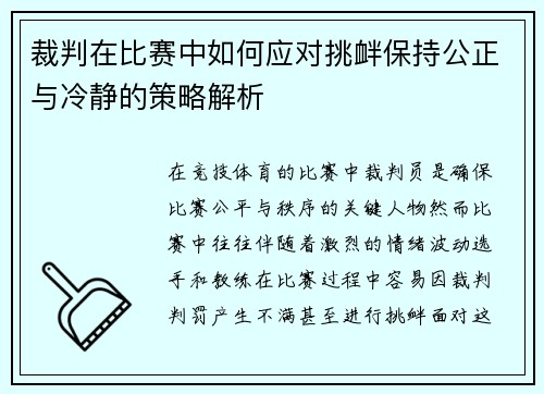 裁判在比赛中如何应对挑衅保持公正与冷静的策略解析