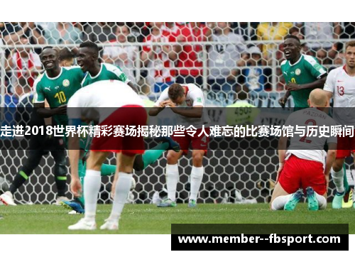 走进2018世界杯精彩赛场揭秘那些令人难忘的比赛场馆与历史瞬间 走进2018世界杯精彩赛场揭秘那些令人难忘的比赛场馆与历史瞬间