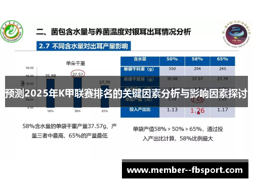 预测2025年K甲联赛排名的关键因素分析与影响因素探讨 预测2025年K甲联赛排名的关键因素分析与影响因素探讨